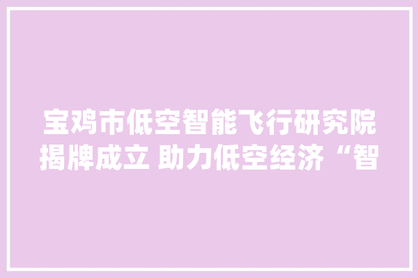 宝鸡市低空智能飞行研究院揭牌成立 助力低空经济“智飞”_宝鸡_低空