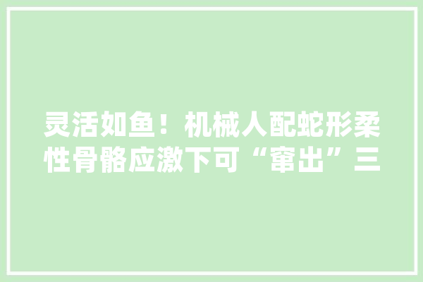 灵活如鱼！机械人配蛇形柔性骨骼应激下可“窜出”三个身长_机械人_骨骼