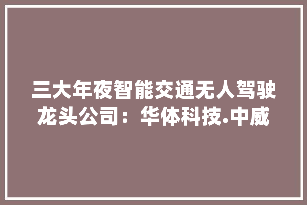三大年夜智能交通无人驾驶龙头公司：华体科技.中威电子.金溢科技_聪明_国内