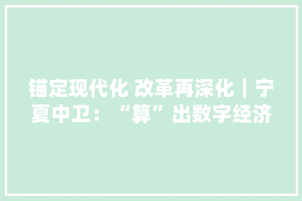锚定现代化 改革再深化｜宁夏中卫：“算”出数字经济新动能_中卫_数字 智能助手