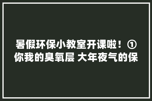 暑假环保小教室开课啦！①你我的臭氧层 大年夜气的保护伞_臭氧洞_南极 文字写作