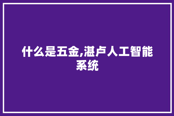 什么是五金,湛卢人工智能系统