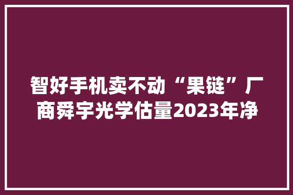 智好手机卖不动“果链”厂商舜宇光学估量2023年净利润减半_出货量_宇光