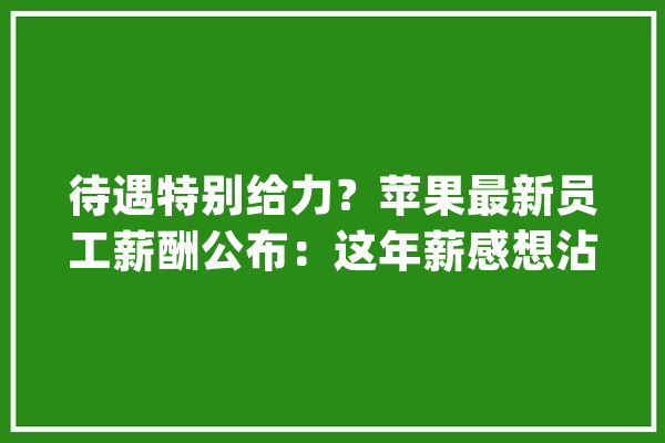 待遇特别给力？苹果最新员工薪酬公布：这年薪感想沾染下_美元_工程师