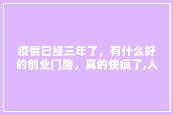 疫情已经三年了，有什么好的创业门路，真的快疯了,人工智能教奥数 绘影字幕